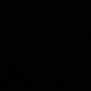 Meet your Posher, Maia